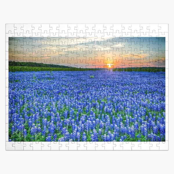 Texas Bluebonnet Vista Jigsaw Puzzle