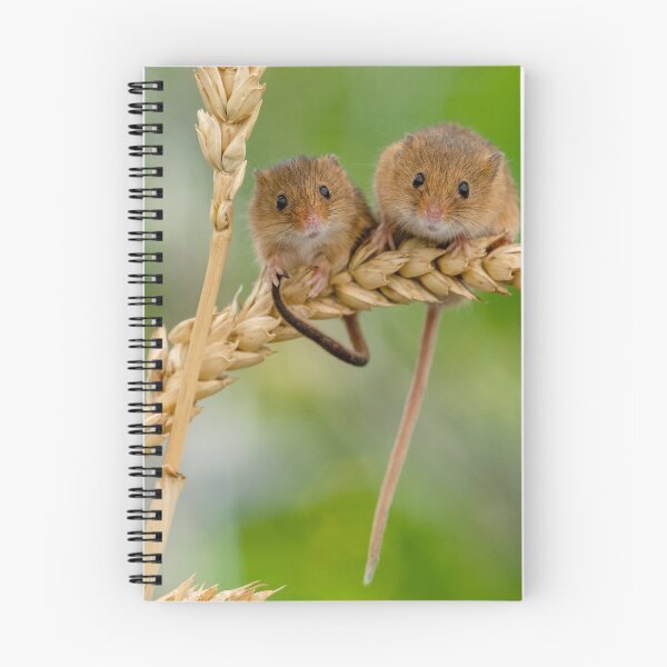 Item preview, Harvest mice designed and sold by JonathanNeed.