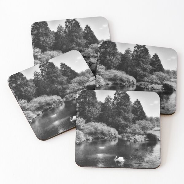 Item preview, Nature's Beauty In Black And White designed and sold by James DeFazio.