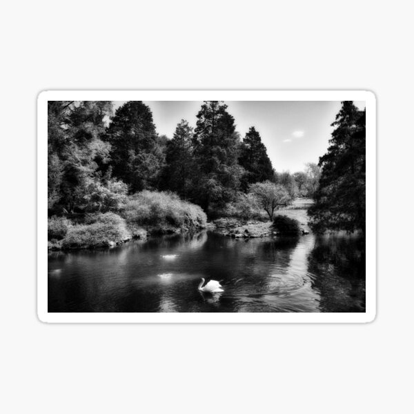 Item preview, Nature's Beauty In Black And White designed and sold by James DeFazio.