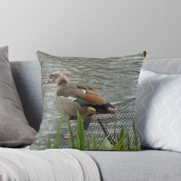 Item preview, Egyptian Goose Climbing Fence designed and sold by Adrian Wale.