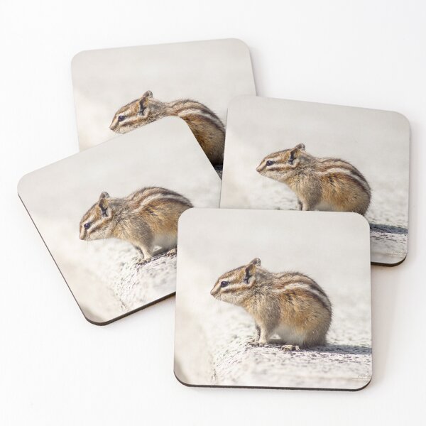 Item preview, Black Hills Chipmunk designed and sold by mikebraun.