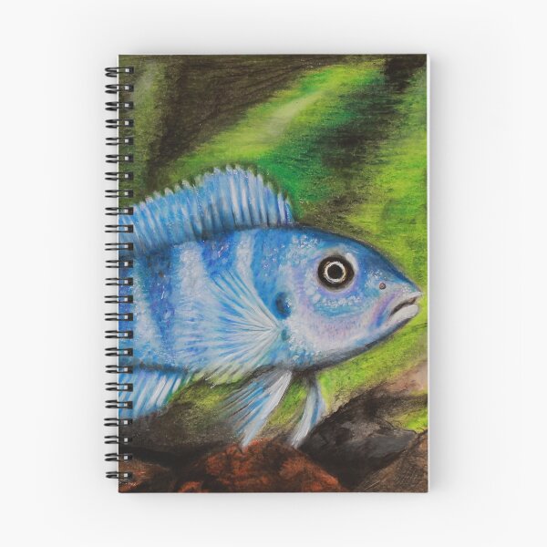 Item preview, Here fishy fishy - coloured pencil on paper designed and sold by Pansymade.