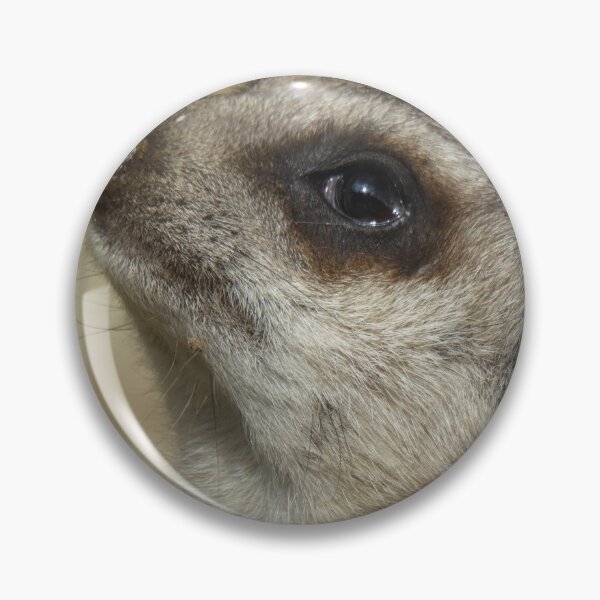Item preview, Meerkat designed and sold by sianemily.