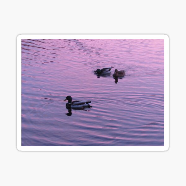 Lakeside Sunset Sticker