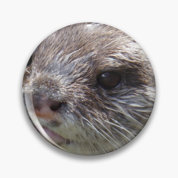 Item preview, Otter designed and sold by sianemily.