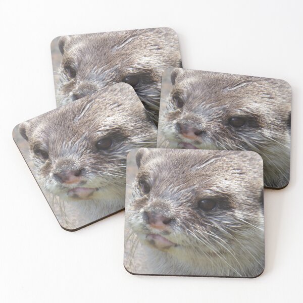 Item preview, Otter designed and sold by sianemily.