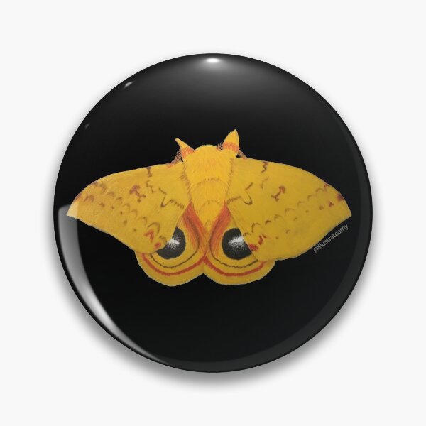 Aperçu de l'œuvre Papillon Io mâle (Automeris io) créée et vendue par illustrateamy.
