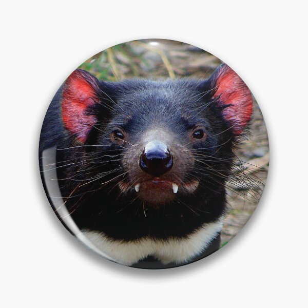Item preview, Tasmanian Devil (1) designed and sold by Phil Le Cren.