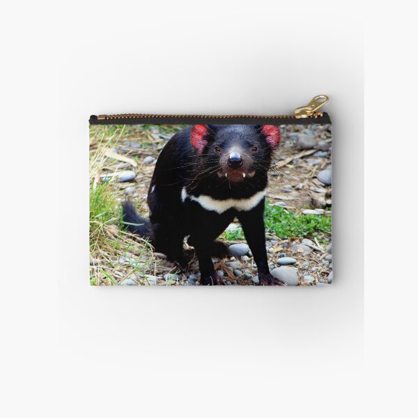 Item preview, Tasmanian Devil (1) designed and sold by Phil Le Cren.