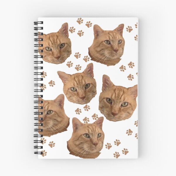 Aperçu de l'œuvre Jonesy Paws chat orange tigré kitty rouillé créée et vendue par BlessItAllTees.