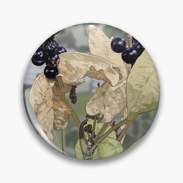 Artikelvorschau, Blackberry Lily Seeds entworfen und verkauft von WendiSF.