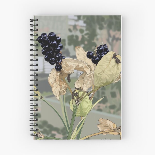 Artikelvorschau, Blackberry Lily Seeds entworfen und verkauft von WendiSF.