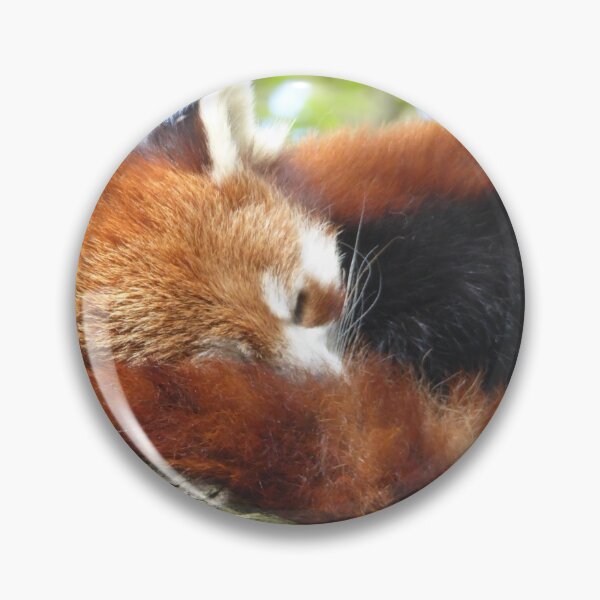 Item preview, Red Panda designed and sold by sianemily.