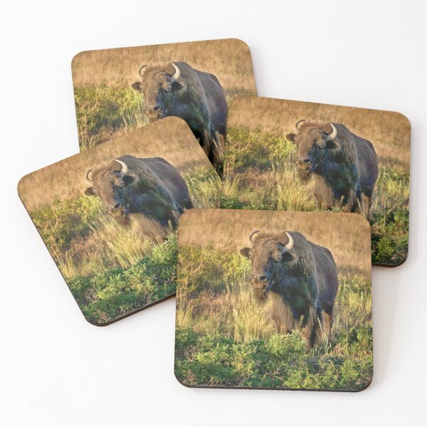 Item preview, Bison - National Bison Range, Montana designed and sold by Kathy Weaver.