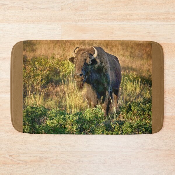 Item preview, Bison - National Bison Range, Montana designed and sold by Kathy Weaver.