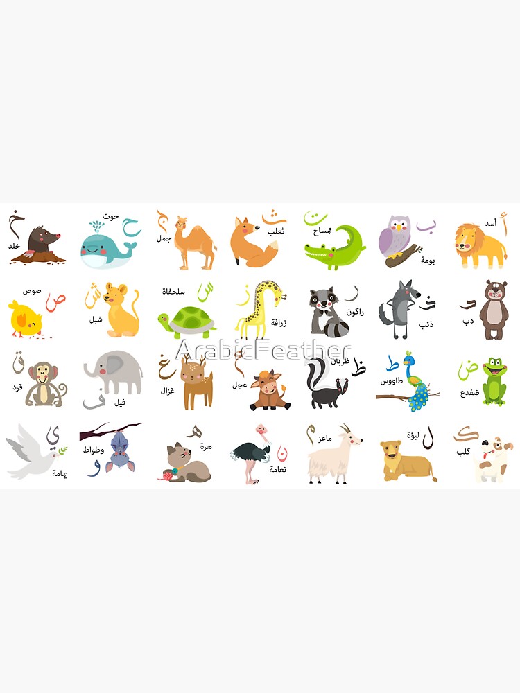 " arabic Alphabet animals " Sticker by ArabicFeather | Redbubble