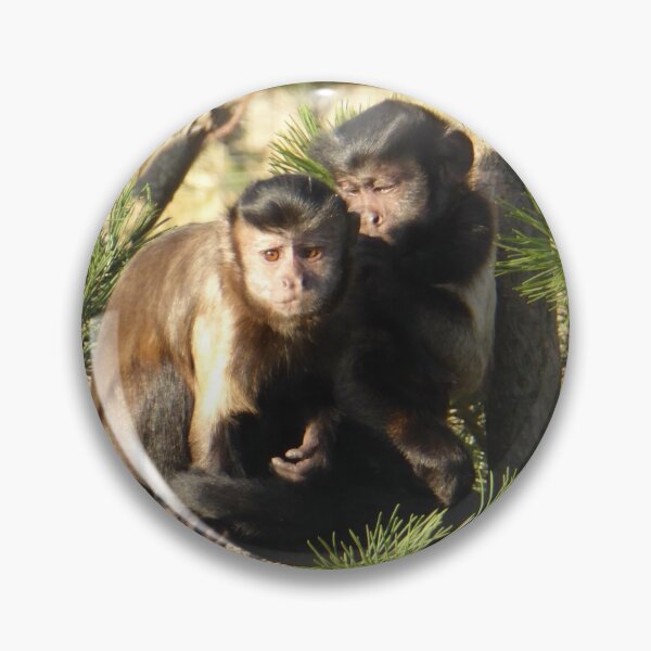 Item preview, Squirrel Monkeys designed and sold by sianemily.