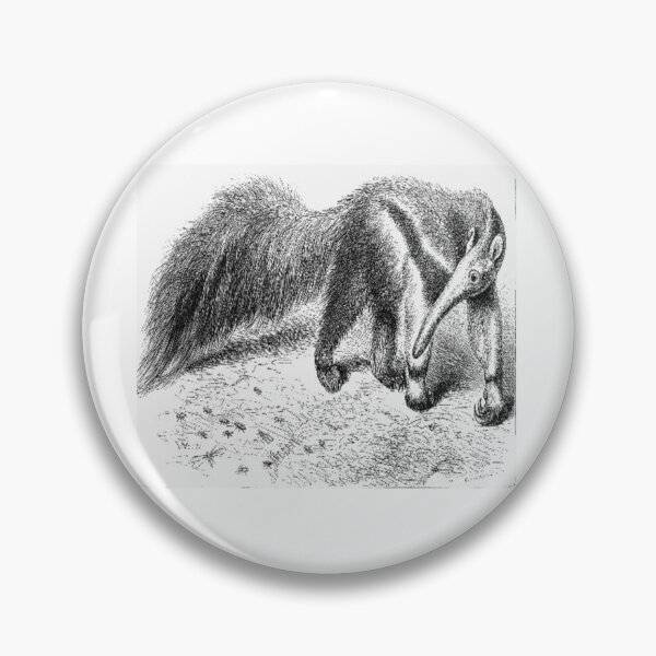 Item preview, Giant anteater from Eccentricities of Animal Creation designed and sold by ZoologyKat.