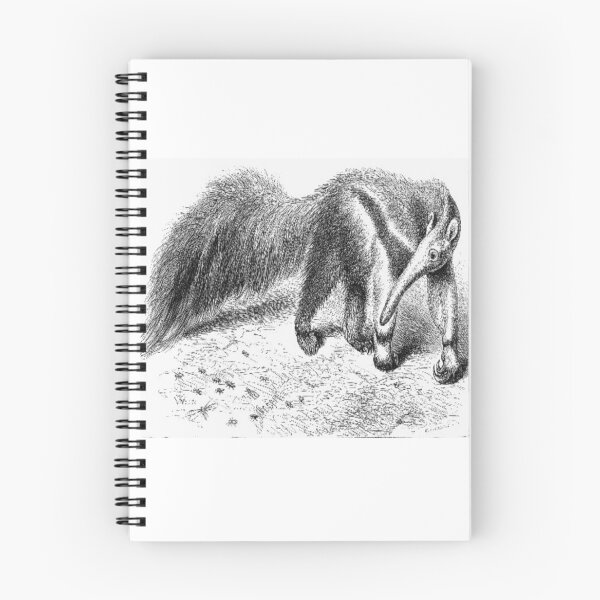 Item preview, Giant anteater from Eccentricities of Animal Creation designed and sold by ZoologyKat.