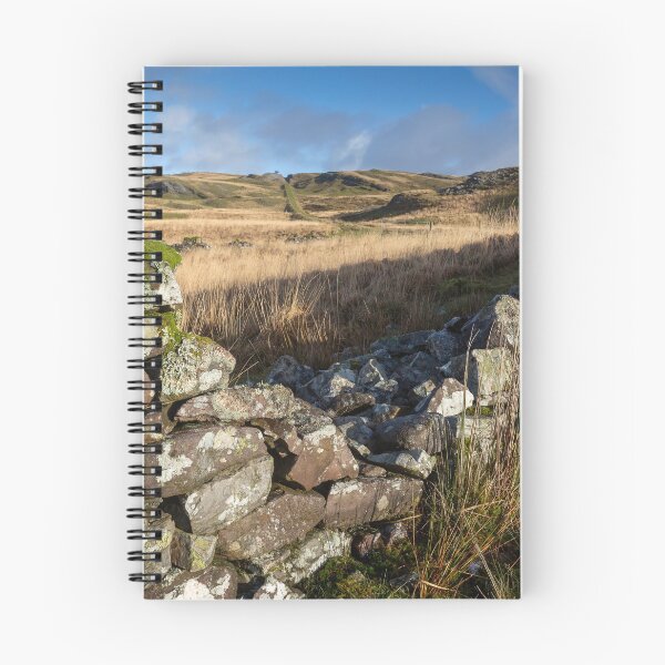 Item preview, Old dry stone wall at Penwyllt designed and sold by Leighton Collins.