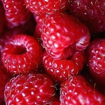 Artwork thumbnail, Red Raspberry Summer Design by July-Design