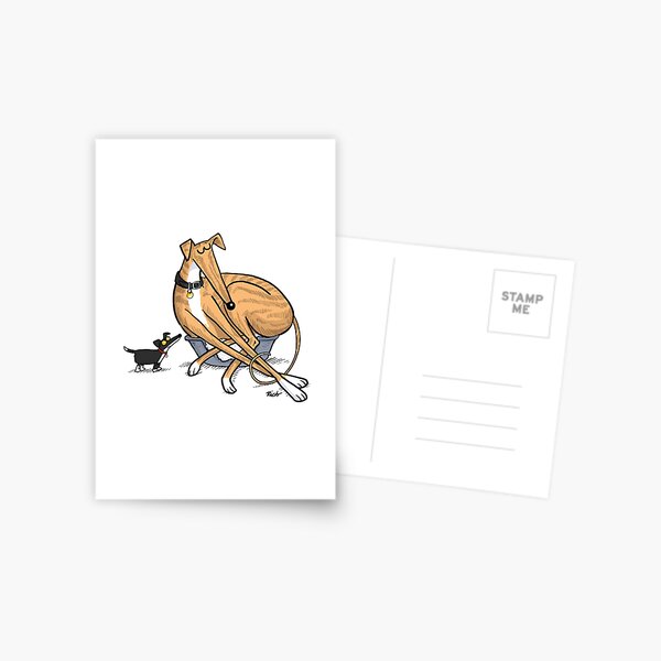 Perfect Fit Postcard