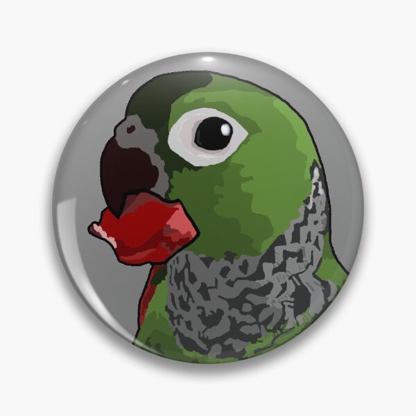 Item preview, Cute Black Capped Conure  designed and sold by Charlottebat.