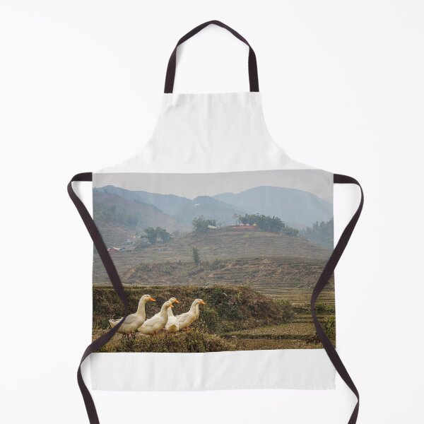 Item preview, A group or raft of white pecking ducks standing at the edge of a rice terrace designed and sold by SnapTPhotograph.