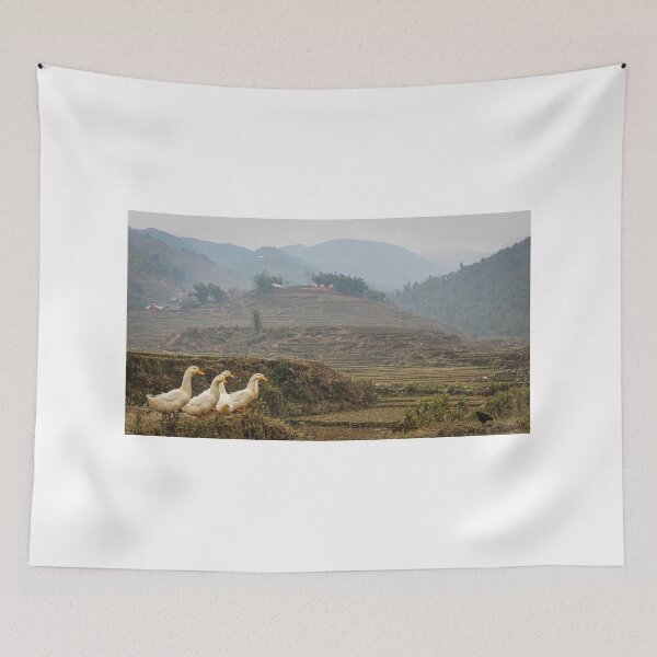 Item preview, A group or raft of white pecking ducks standing at the edge of a rice terrace designed and sold by SnapTPhotograph.