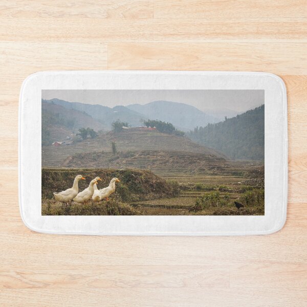 Item preview, A group or raft of white pecking ducks standing at the edge of a rice terrace designed and sold by SnapTPhotograph.