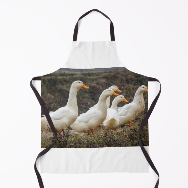 Item preview, A group or raft of white pecking ducks standing at the edge of a rice terrace designed and sold by SnapTPhotograph.