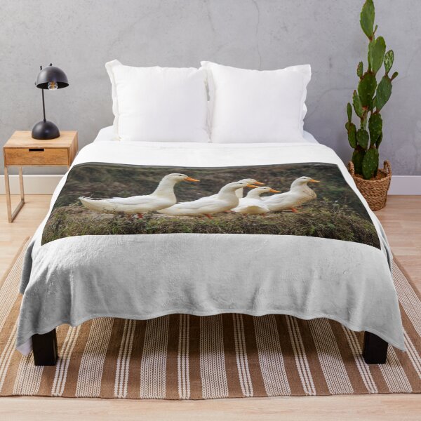 Item preview, A group or raft of white pecking ducks standing at the edge of a rice terrace designed and sold by SnapTPhotograph.