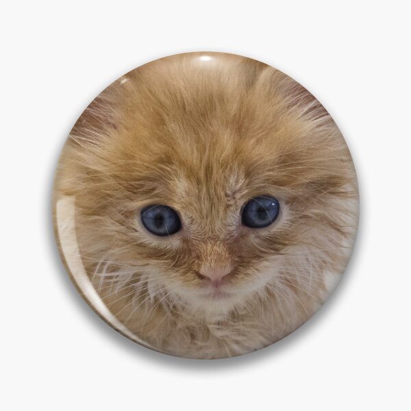 Item preview, Orange Fluff designed and sold by Book Maven.