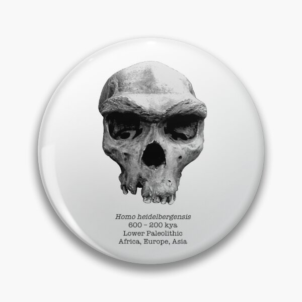 Item preview, Homo heidelbergensis (natural) designed and sold by SnazzyScience.