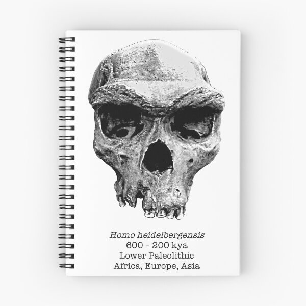 Item preview, Homo heidelbergensis (rough) designed and sold by SnazzyScience.