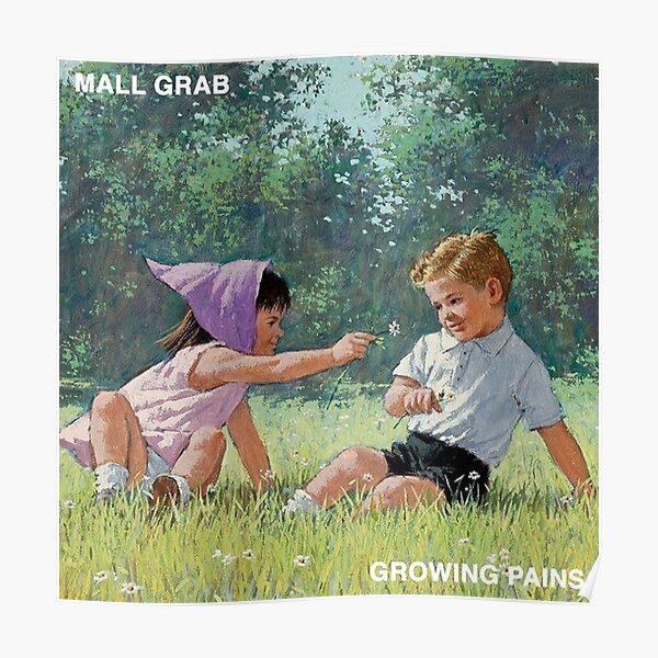 Couverture de l'album Mall Grab Poster