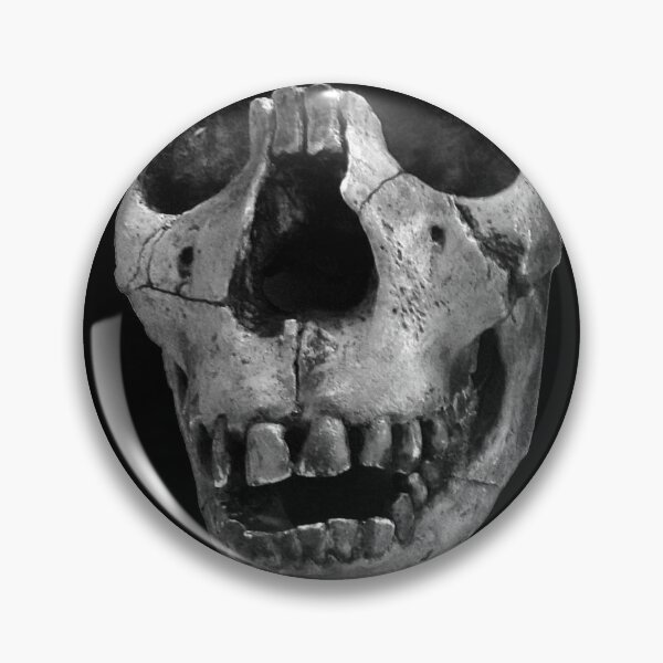 Item preview, Homo erectus 2 (black bg) designed and sold by SnazzyScience.