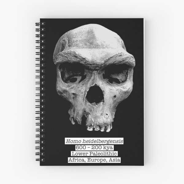 Item preview, Homo heidelbergensis (natural, black bg) designed and sold by SnazzyScience.