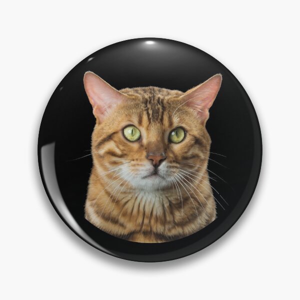 Item preview, cat lover gift designed and sold by First Store.