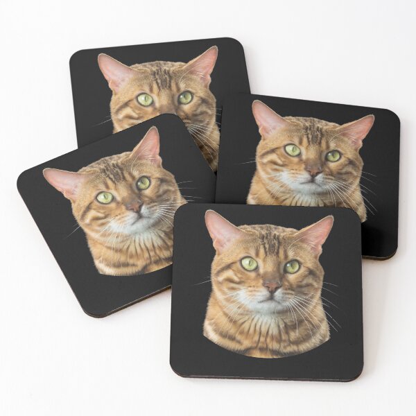Item preview, cat lover gift designed and sold by First Store.