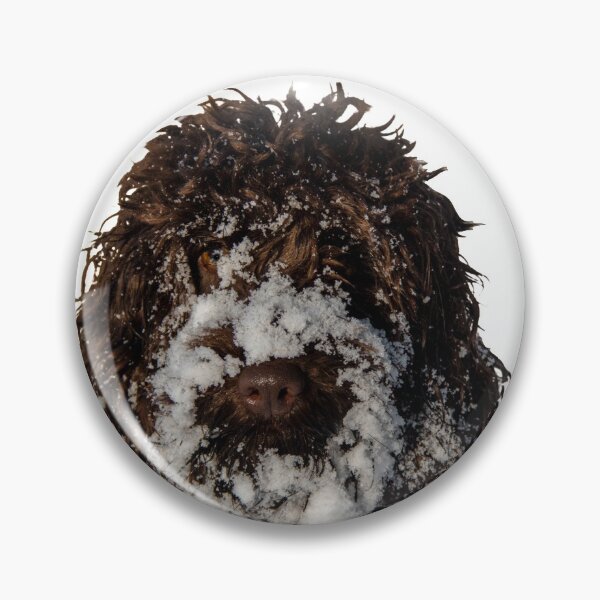 Item preview, Dog covered in snow designed and sold by kerrphotos.