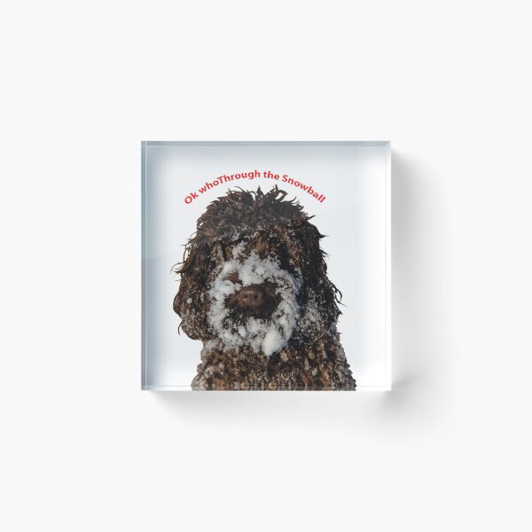 Item preview, Dog covered in snow designed and sold by kerrphotos.