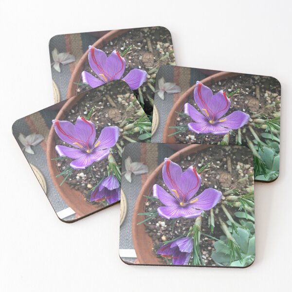 Item preview, Crocus designed and sold by cellis78.