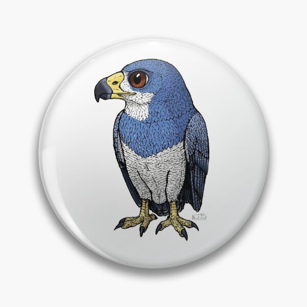 Artikelvorschau, Schwarzer Bussardadler / Aguila Mora Design entworfen und verkauft von NicoEttlinArt.