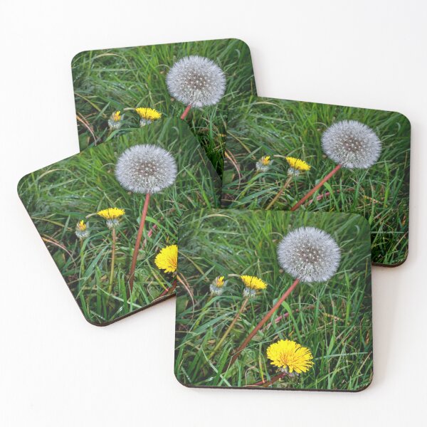 Item preview, Dandelions  designed and sold by jasminewang.