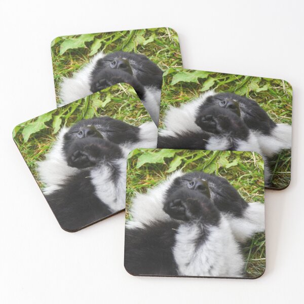 Item preview, Black & White ruffled Lemur Sleeping designed and sold by Ksswaden.
