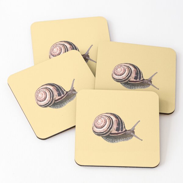 Item preview, White-Lipped Snail / Cepaea hortensi designed and sold by magicae.