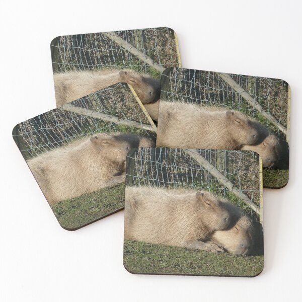 Item preview, Cuddling Capybaras designed and sold by EmilyCBowdenArt.