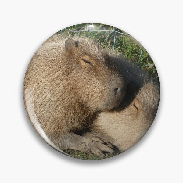 Item preview, Cuddling Capybaras designed and sold by EmilyCBowdenArt.